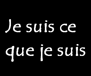 je vs emmerde