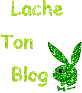 lache ton blog??